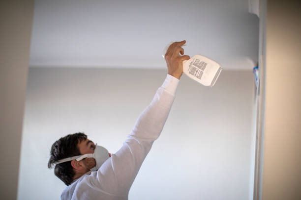  North Springfield, VA Mold Removal Pros