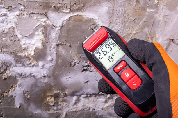 Best Crawl Space Mold Removal  in North Springfield, VA