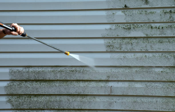 Best Toxic Mold Removal  in North Springfield, VA
